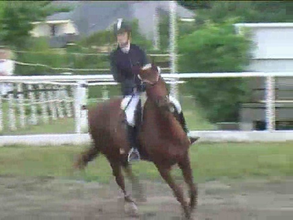 Elisabeth Schwab, Springreiten, Kottingbrunn (2008-080)