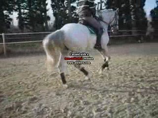 hannibal de bonce video 3