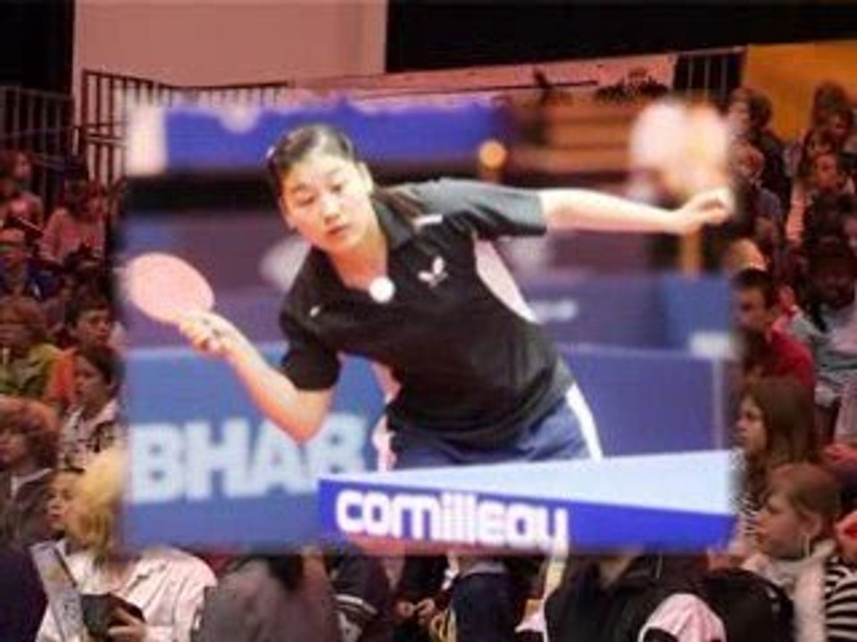 Championnats de France Seniors Tennis de Table Dreux