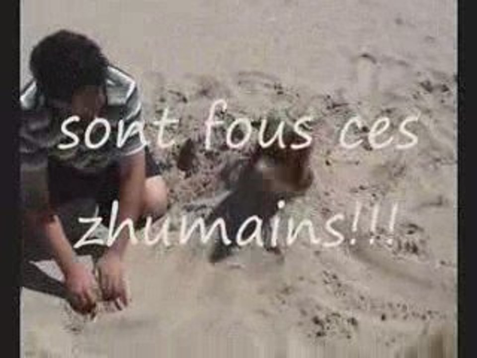 Ile d'oleron video