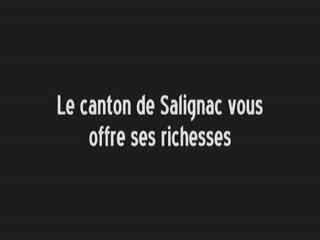 Le canton de Salignac en images