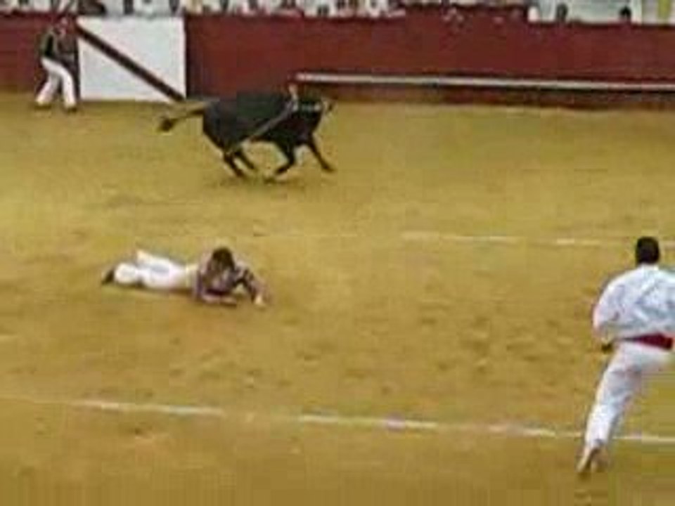 course landaise Cabidos pau Sybille