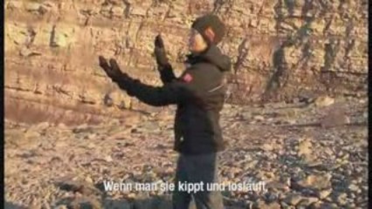 Das joggins fossilien institute in nova scotia