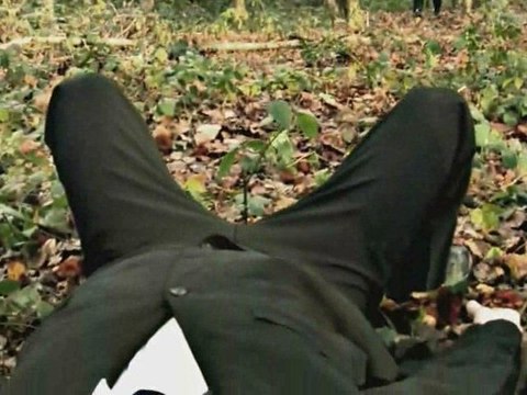 PROJECT 7 -genetically modified-