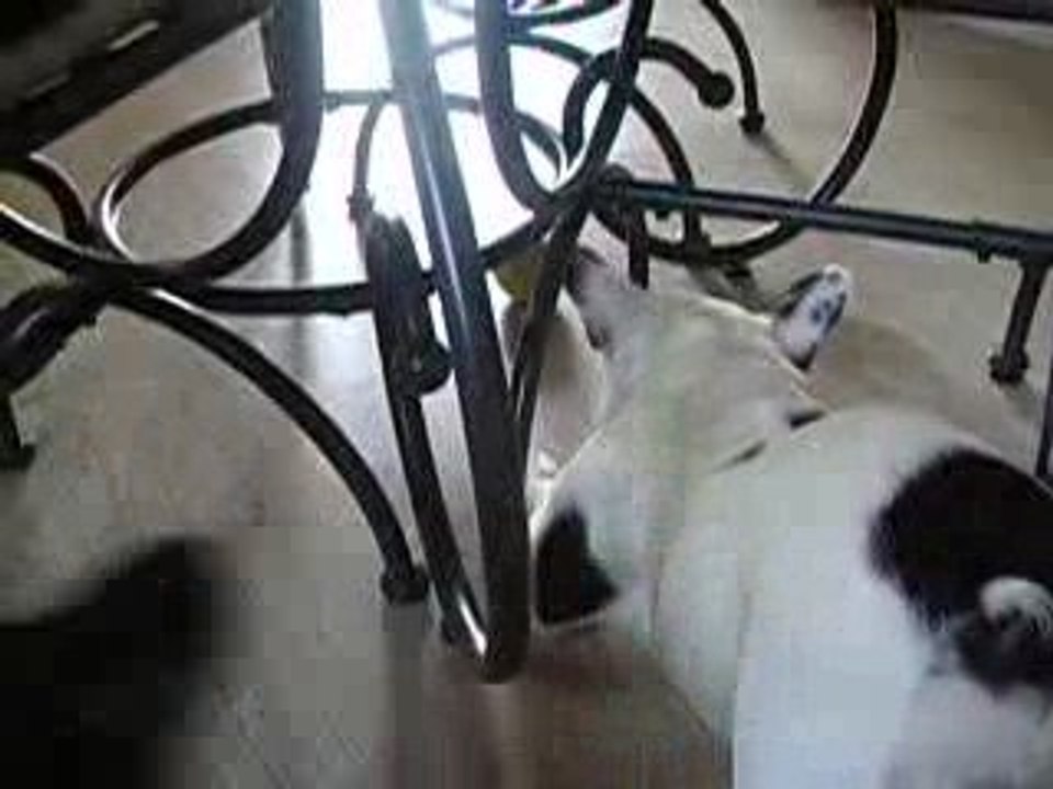 comment se faire piquer sa balle....