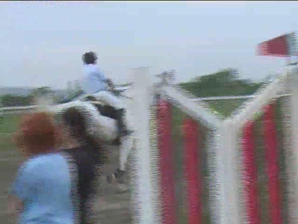 Herbert Paintner, Springreiten, Kottingbrunn (2008-083)