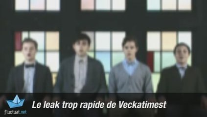 Grizzly Bear interview vidéo