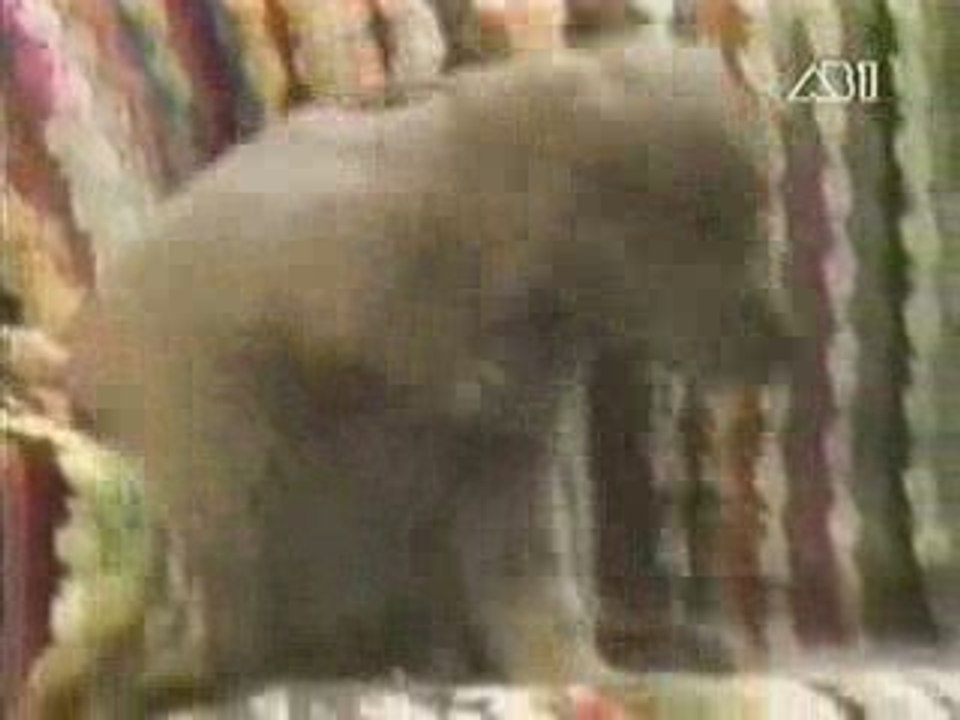 Punky Brewster generique