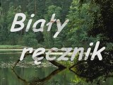 Biały  ręcznik