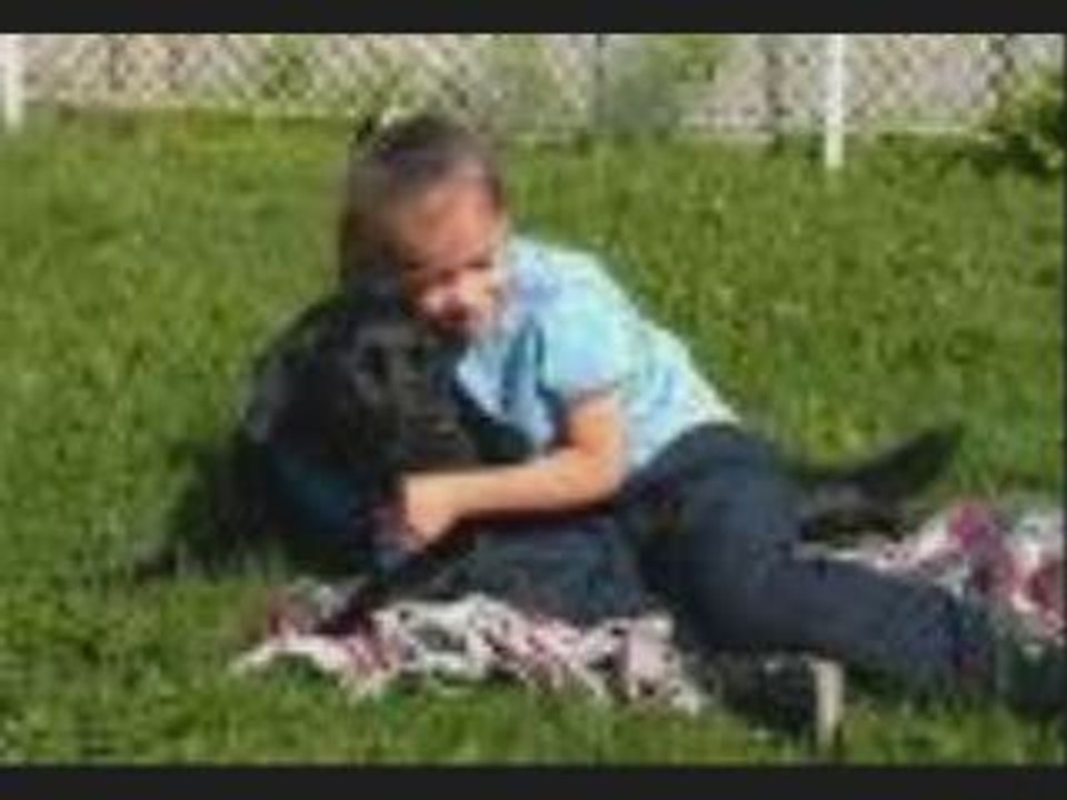 Chiens gentils !!!!!