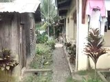 Village View In Gamu, Isabela Province, Philippines
