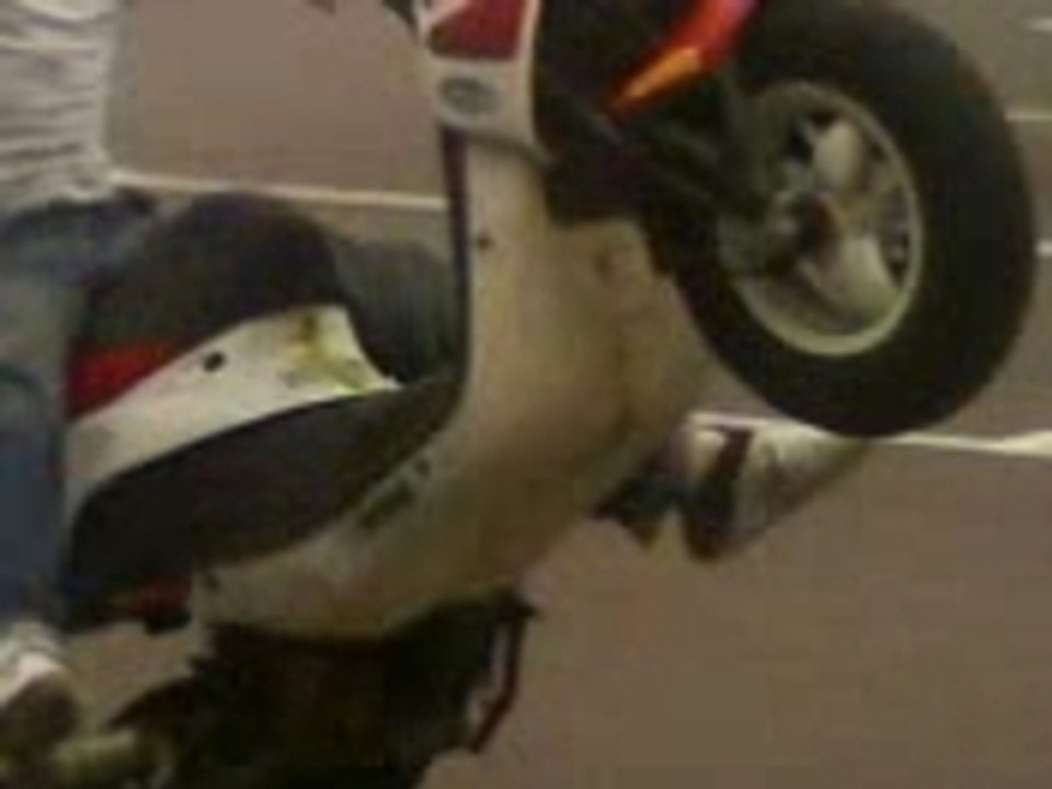 MOV00443