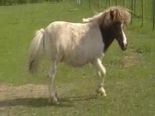 Mon amour Qui Roule :p