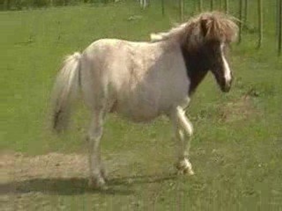 Mon amour Qui Roule :p