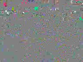 PSG - Monaco Virage Auteuil 30.05.2009