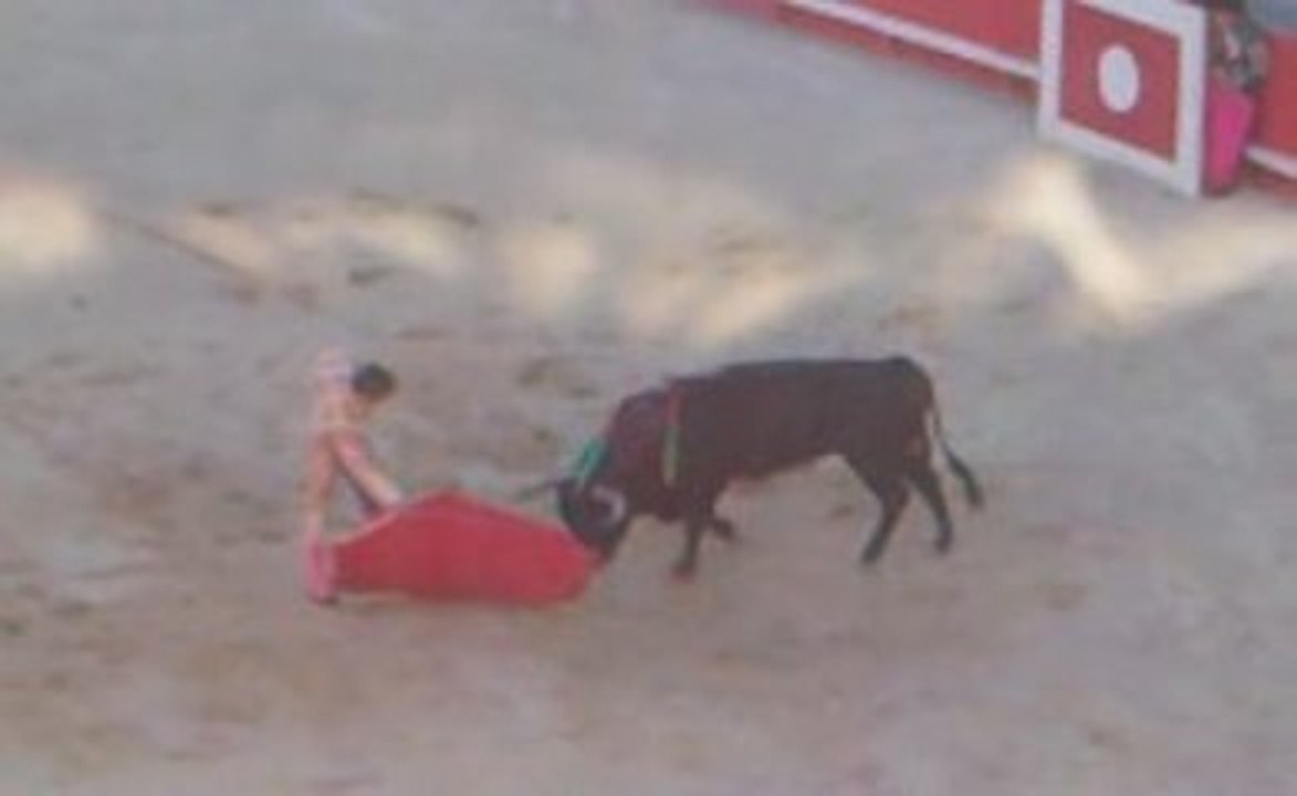 Juan Bautista face à son 1er toro de Miura