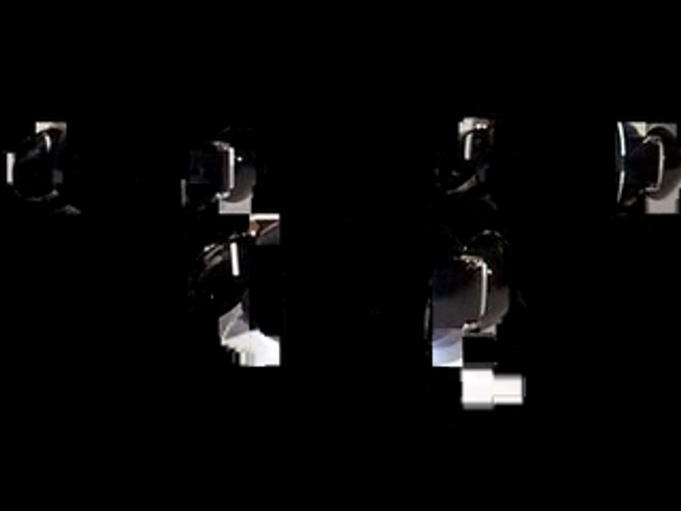 paco, paco, paco, rolly, rolly, rolly