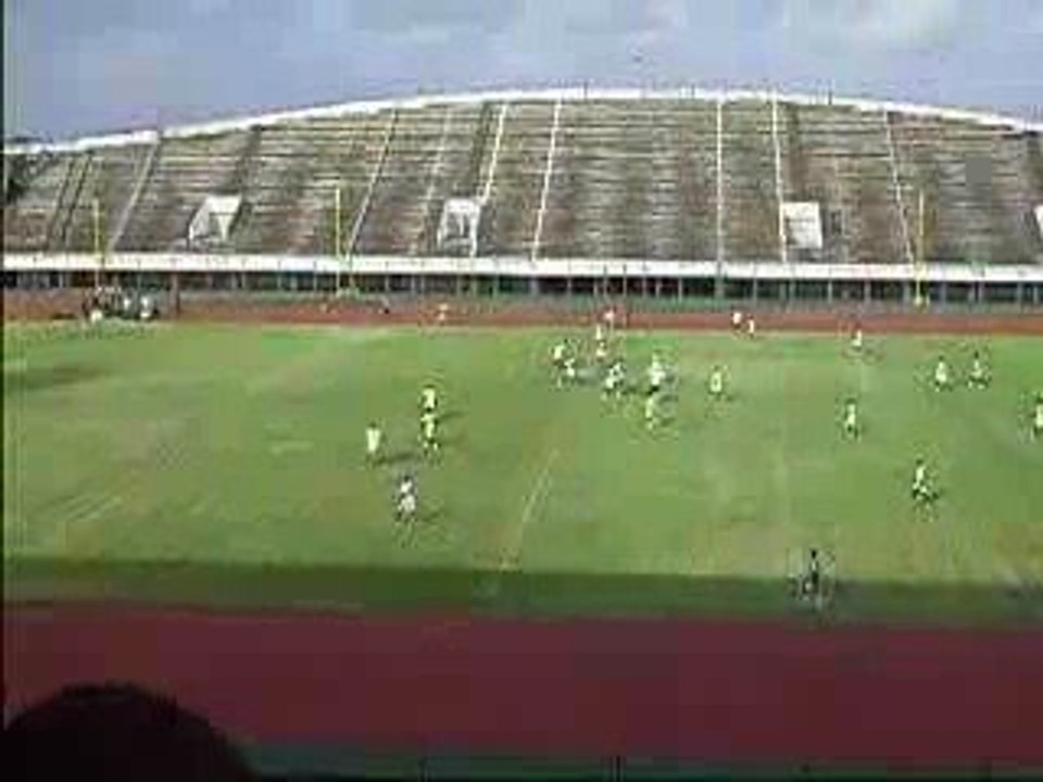 ecureuils à l'entraînement