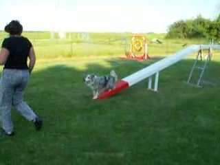 Coco zone passerelle 4