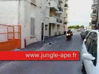 Vieille sac à l'arrach mdr