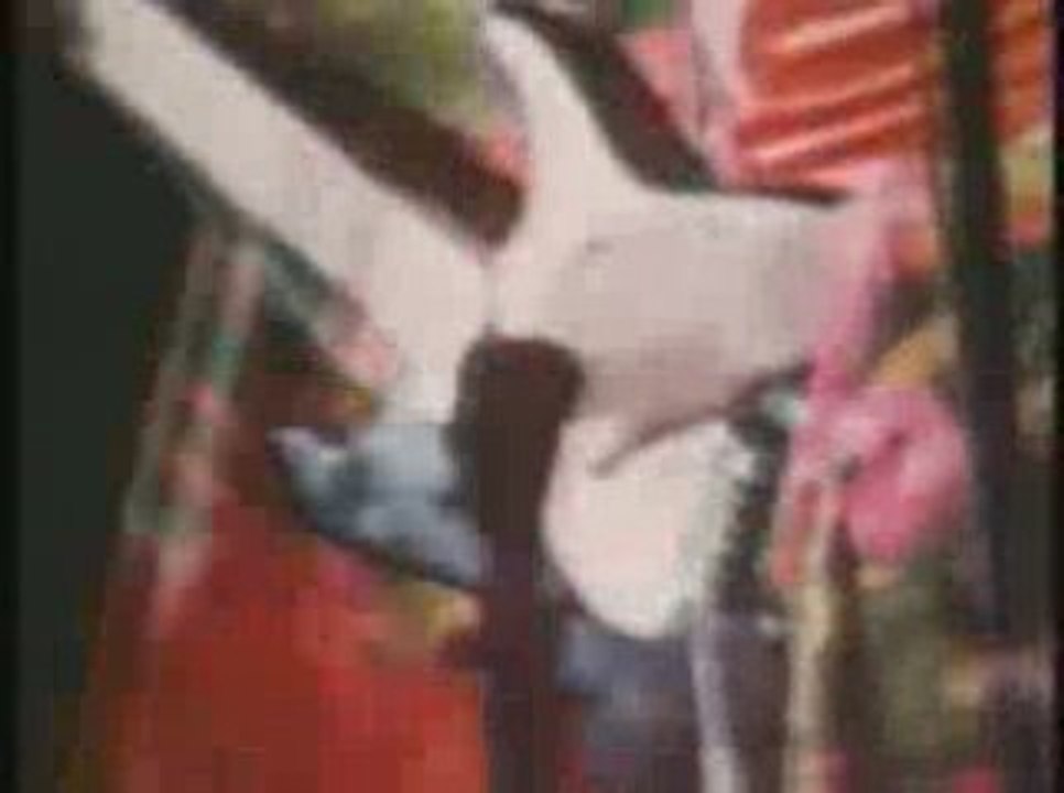 Jimi Hendrix - Live in japan extrai (4-7-1970)