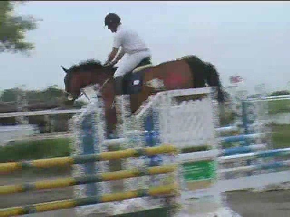 Gerold Karlovatz, Springreiten, Kottingbrunn (2008-084)