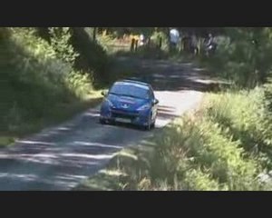 Rallye du Limousin 2009 (Volant 207)