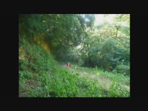 QUAD 700 RAPTOR (session 2009)