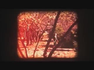 Be Here to Love Me: A Film About Townes Van Zandt