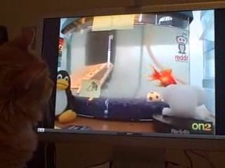 Mrs. Splashypants has a new internet stalker