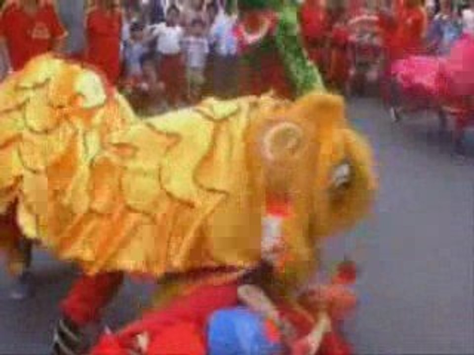 Vietnam Lunar New Year Lion Dance