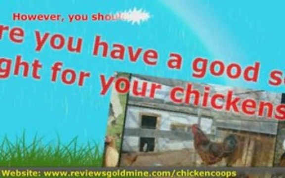 Building Chicken Coops