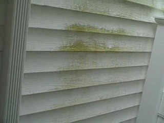 John from selden, Power washing Dragon and Painting -PDP.