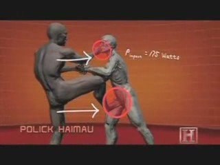 preparer vous physiquement  contre les sionistes !!!