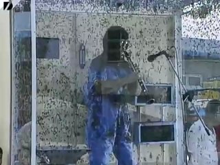 Man covers himself in bees, plays clarinet