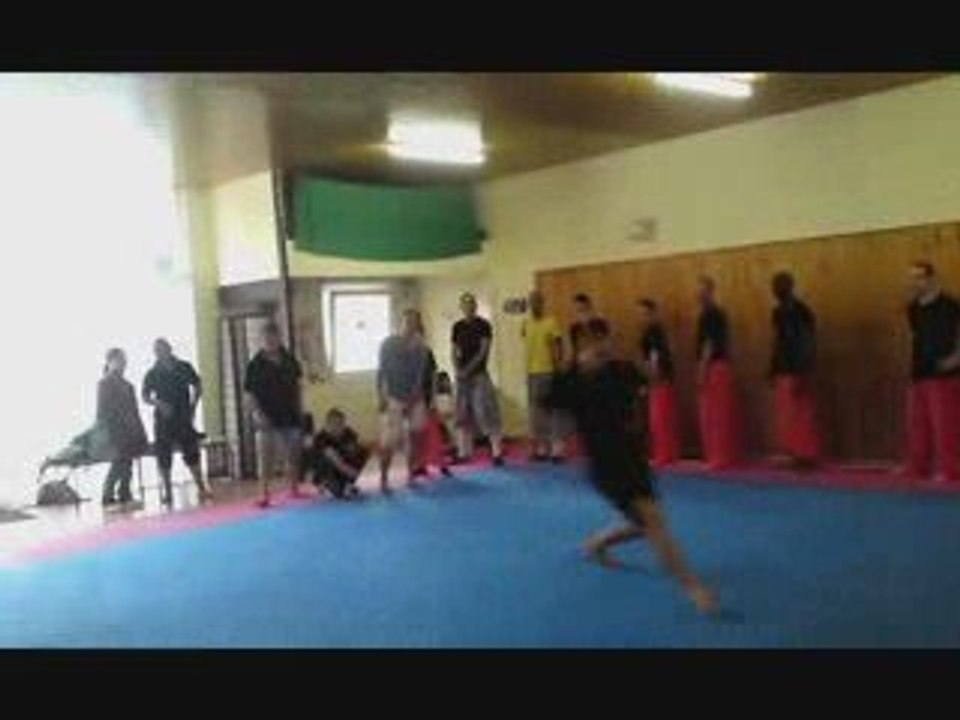 Shaolin sur perpignan kung-fu luan 66