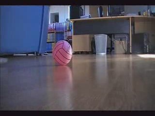 Jolie But dans une corbeille