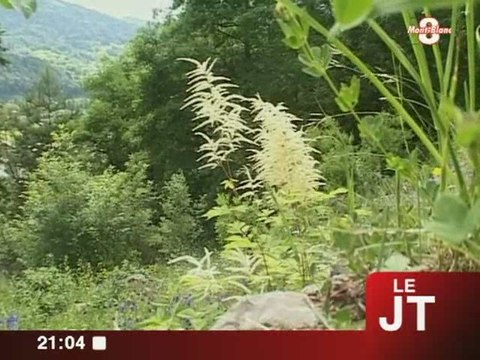 Visite guidée dans les jardins botaniques de Samoëns