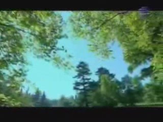 DANCE MEGAMİX-2009-2.WMV