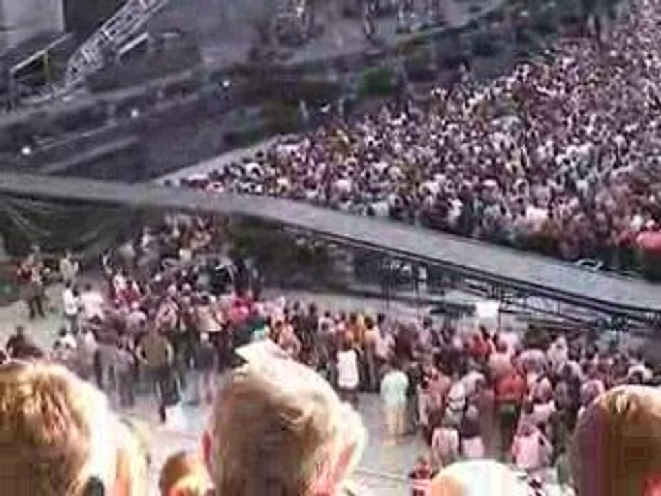 Belle Demoiselle - Bonal