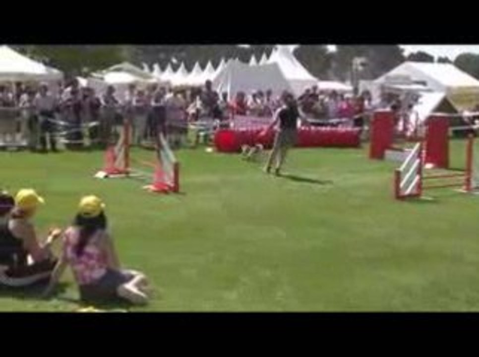 STGR Lezignan Boom Jumping1
