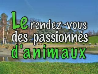 Animal Expo : LE rendez-vous des passionnés d'animaux