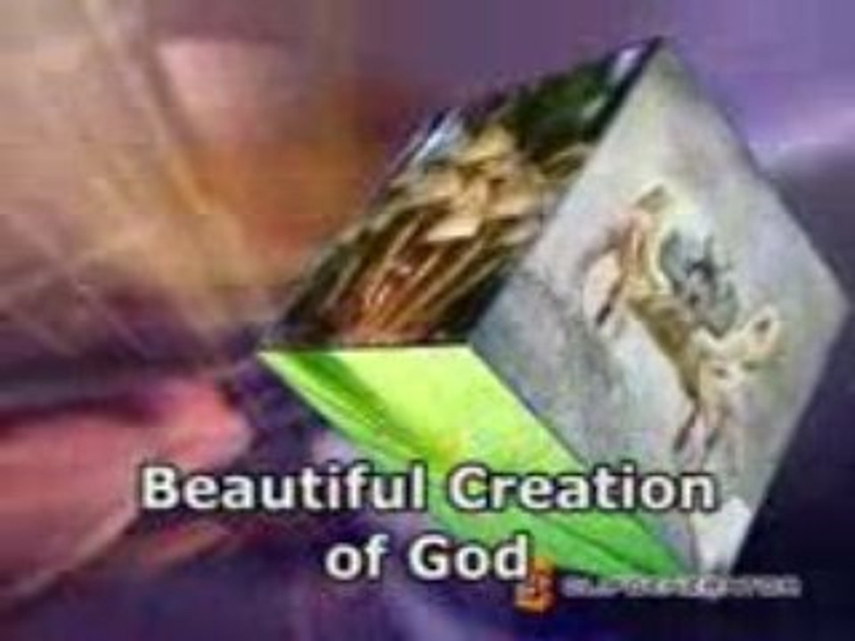 Beautiful creation
