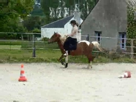 Reve - Premiers galops montée