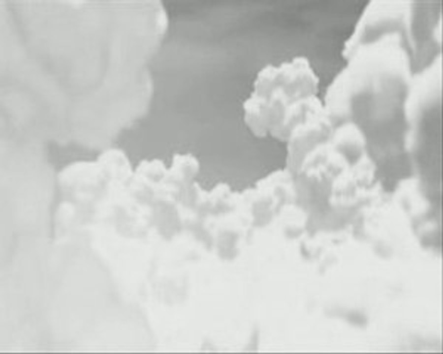 Twins Family - Permis De Tuer