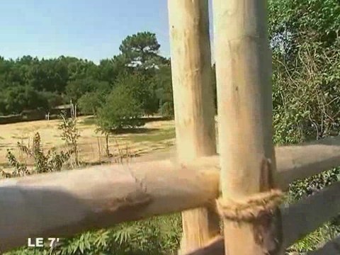 Angers : Découverte du circuit de la Loire à Vélo