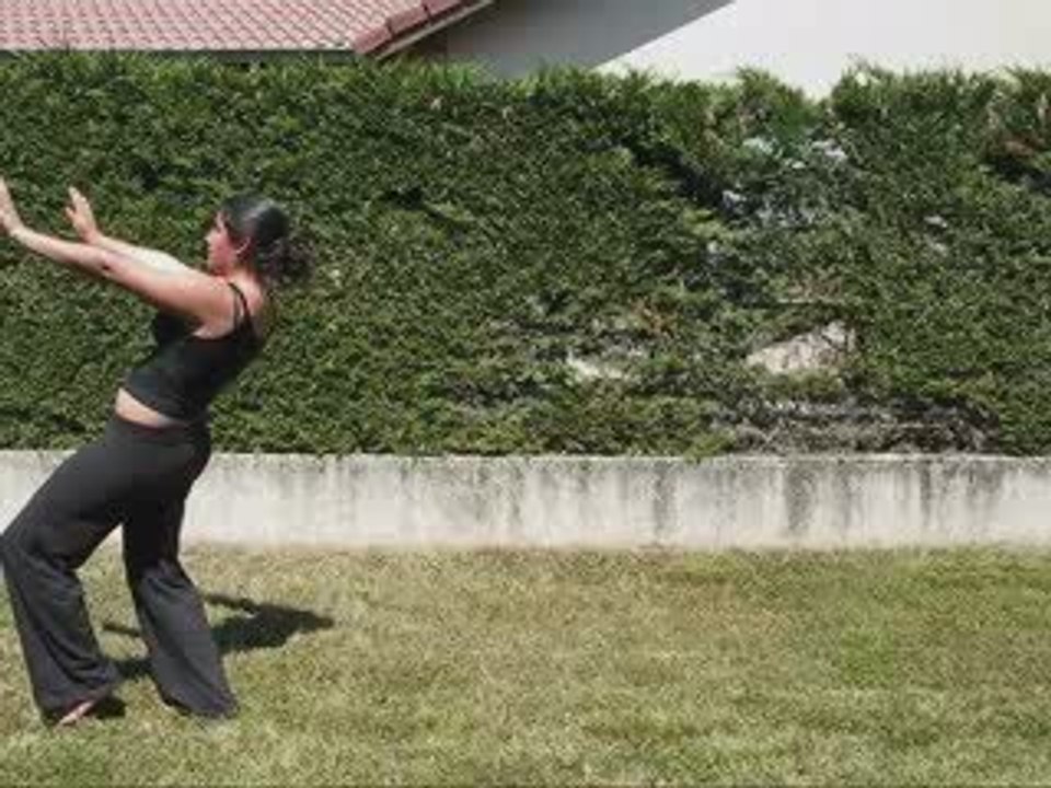 Isa Souplesse Arriere 2009-2