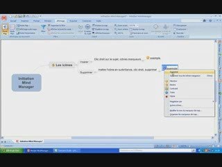 Mindmanager insérer des icônes
