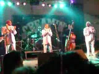 The cadillacs pineda de mar 2009 screamin'