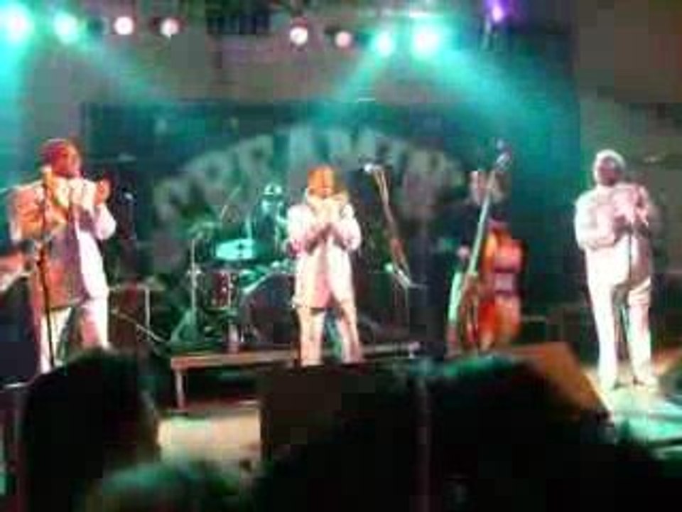 The cadillacs pineda de mar 2009 screamin'